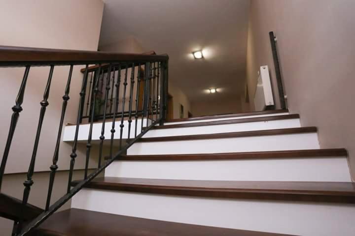 Malkoc Lux Apartment *